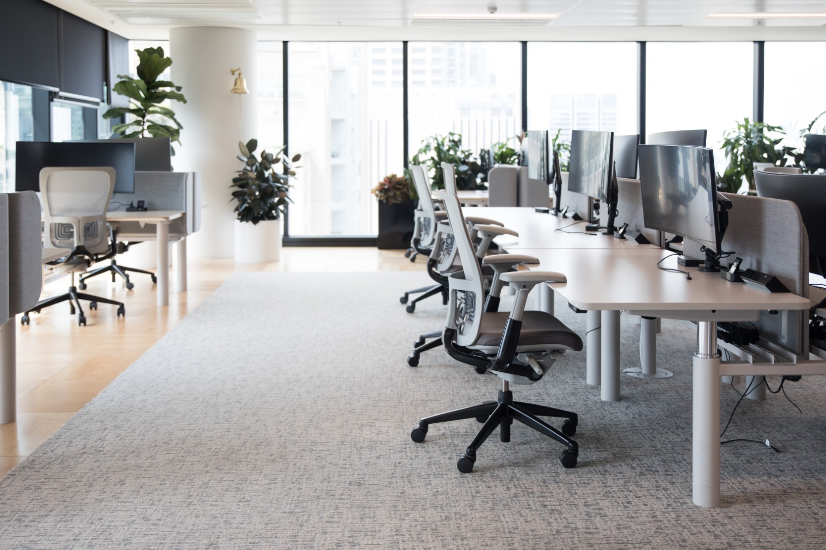 Modernes Kanzlei-Büro mit Tageslicht